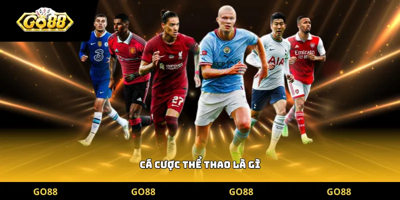 cá cược thể thao là gì