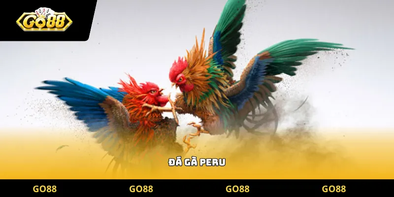 đá gà peru